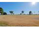 Scenic view of a lush green golf course at 10529 W Pineaire Dr, Sun City, AZ 85351