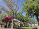 Neighborhood park with lush green grass, mature trees, and covered seating area at 21150 W Prospector Way, Buckeye, AZ 85396