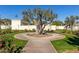 Landscaped courtyard with mature olive tree at 6945 E Glenrosa Ave, Scottsdale, AZ 85251