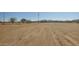 Vacant lot, dirt road, distant mountains at 000 W Pony Rd, Maricopa, AZ 85139