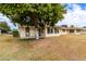 Large backyard with mature citrus tree and grassy area at 10343 W Prairie Hills Cir, Sun City, AZ 85351