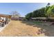 Large backyard with grassy area and landscaping at 6433 W Cortez St, Glendale, AZ 85304