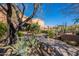 Landscaped front yard with mature trees and stone pathway at 10712 E Greythorn Dr, Scottsdale, AZ 85262