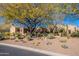 Beautiful desert landscaping at the front of the house at 10712 E Greythorn Dr, Scottsdale, AZ 85262