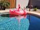 Inviting in-ground pool with clear water, featuring a fun flamingo float for a resort-style backyard at 12411 N Cantata Ct, Sun City, AZ 85351