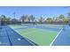 Well-maintained pickleball courts in a sunny area at 13129 W Junipero Dr, Sun City West, AZ 85375