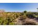 Landscaped backyard with desert plants and mountain views at 17022 E Player Ct, Fountain Hills, AZ 85268