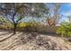 Large backyard with mature trees and desert landscaping at 1801 E Aire Libre Ave, Phoenix, AZ 85022