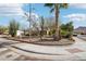 Street view of a home featuring a lush xeriscaped front yard and mature palm and desert trees at 1801 E Aire Libre Ave, Phoenix, AZ 85022