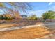 Paved path alongside grassy area and residential homes at 19646 E Reins Rd, Queen Creek, AZ 85142