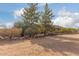 Ranch style home with rock wall accents and mature landscaping at 313 W Saddle Mountain Rd, Phoenix, AZ 85086