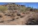 View of natural desert landscape with rocks and plants at 33108 N 72Nd Way, Scottsdale, AZ 85266