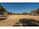 Large open green space in a community park at 4444 E Peach Tree Dr, Chandler, AZ 85249