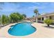 Inviting backyard pool surrounded by lush landscaping and a spacious patio area at 9031 N 83Rd Way, Scottsdale, AZ 85258