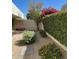 Landscaped backyard with desert plants and a tiled patio at 9448 N 80Th Pl, Scottsdale, AZ 85258