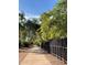 Scenic walkway lined with lush trees and fencing at 9448 N 80Th Pl, Scottsdale, AZ 85258