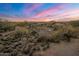 Aerial view showcasing the community's landscape and homes at 11105 E Tamarisk Way, Scottsdale, AZ 85262