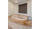 Luxurious bathroom with a large oval jacuzzi tub and marble surround at 11105 E Tamarisk Way, Scottsdale, AZ 85262