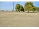 Large grassy park area with trees and basketball court at 11534 W Longley Ln, Youngtown, AZ 85363