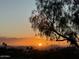 Stunning sunset over mountain range, desert landscape at 11686 N Spotted Horse Way, Fountain Hills, AZ 85268