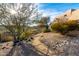 Landscaped backyard with desert plants and a gravel pathway, offering a tranquil outdoor space at 11686 N Spotted Horse Way, Fountain Hills, AZ 85268