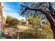 Landscaped backyard with desert landscaping and distant mountain views at 11686 N Spotted Horse Way, Fountain Hills, AZ 85268