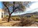 Backyard with gravel and native plants offering hilltop views at 11686 N Spotted Horse Way, Fountain Hills, AZ 85268