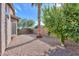 Landscaped backyard with gravel, palm tree, and lemon tree at 1861 E Birch St, Casa Grande, AZ 85122