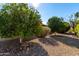 Backyard with gravel ground cover and lush green trees at 19606 N Trail Ridge Dr, Sun City West, AZ 85375