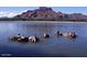 People enjoying a relaxing float on the lake in front of a mountain at 205 N 74Th St # 122, Mesa, AZ 85207