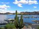 Scenic view of a lake with boats and mountains, featuring a large saguaro cactus at 205 N 74Th St # 122, Mesa, AZ 85207