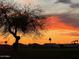 Stunning sunset over a peaceful golf course community at 21413 N 159Th Dr, Sun City West, AZ 85375