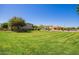 Neatly landscaped community lawn with houses visible in the background at 23242 S 202Nd Way, Queen Creek, AZ 85142