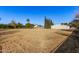 Spacious backyard, detached shop, mature trees at 4321 W Greenway Rd, Glendale, AZ 85306