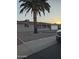 House exterior with palm tree and gravel landscaping at 6449 E Dodge St, Mesa, AZ 85205