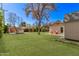 Expansive backyard with lush grass, a patio, red chairs, a white shed, and mature trees at 6811 N 11Th Ave, Phoenix, AZ 85013