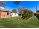 Well-maintained backyard with manicured green grass, orange trees, a brick house, and a detached white building at 6811 N 11Th Ave, Phoenix, AZ 85013