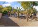 Landscaped backyard with a pool and mature palm trees at 1007 W Armstrong Way, Chandler, AZ 85286