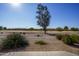 Landscaped backyard with golf course view and desert landscaping at 11250 E Kilarea E Ave # 216, Mesa, AZ 85209