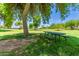 Park with grassy area and picnic table under a tree at 12059 S Paiute St, Phoenix, AZ 85044