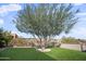 Landscaped backyard with large tree and lawn at 15020 E Sierra Madre Dr, Fountain Hills, AZ 85268