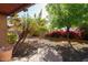 Landscaped backyard with a winding path and lush greenery at 16549 W Desert Ln, Surprise, AZ 85388