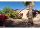 Landscaped backyard with a lemon tree and a large palm tree at 16549 W Desert Ln, Surprise, AZ 85388