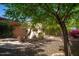 Shaded backyard with mature trees, gravel pathway, and a patio area at 16549 W Desert Ln, Surprise, AZ 85388