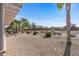 Landscaped backyard with gravel and desert plants at 16935 W Villagio Dr, Surprise, AZ 85387