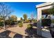 Landscaped backyard with gravel and mature trees at 21816 N 261St Ave, Buckeye, AZ 85396