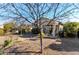 Backyard view with mature trees and gravel landscaping at 21816 N 261St Ave, Buckeye, AZ 85396