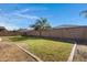 Landscaped backyard with grass, string lights, and palm tree at 22085 E Rosa Rd, Queen Creek, AZ 85142