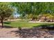 Landscaped community green space with trees at 22085 E Rosa Rd, Queen Creek, AZ 85142