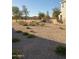 Landscaped backyard with gravel and desert plants at 23472 S 210Th St, Queen Creek, AZ 85142